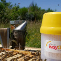 Varroa EasyCheck