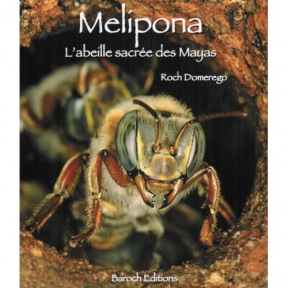 Domerego Melipona L'abeille sacrée des mayas