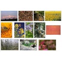 Lot de 12 photos 49x35CM Eric Tourneret