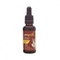 TEINTURE MERE PROPOLIS 30 ml